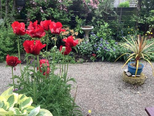 Crieff Apartment | The Garden Flat