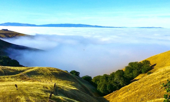 Livermore House | The Gated Country Estate | High Elevation| Views| Weddings (Fee Applies)