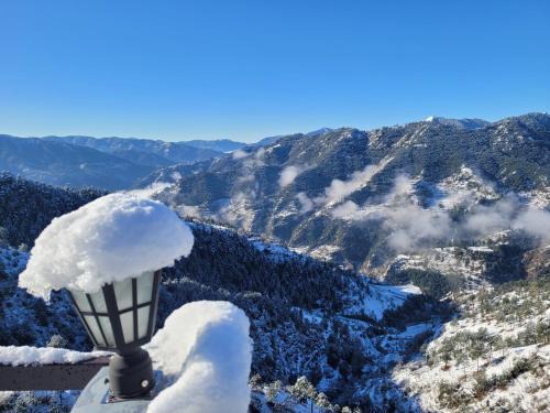 Shimla Bed & Breakfast | The Getaway