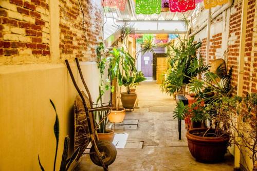 Oaxaca Apartment | The Green Loft, Oaxaca Centro