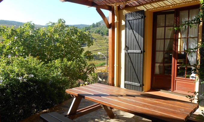 Port-Vendres Apartment | THE HEART OF THE VINES, 1.5 km from the sea