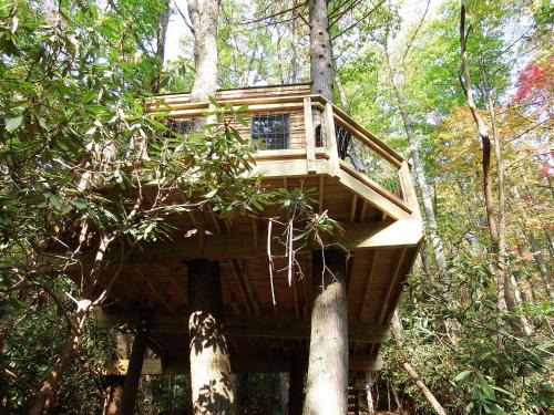Elizabethton House | The Hidden Hemlock Tree House