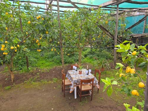 Piano di Sorrento House | The house in the green