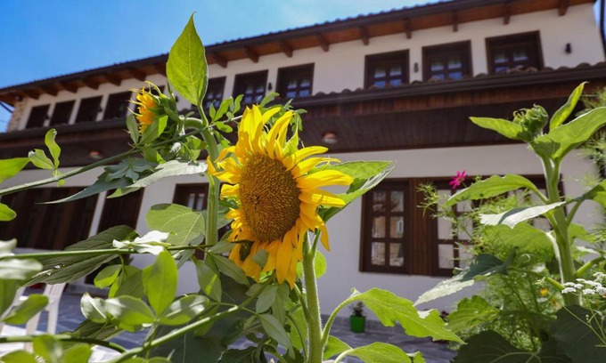 Kruje House | The House of Dollma , Inside Kruja Castle