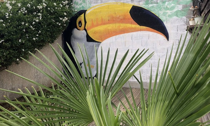 Marsilly Condo | The house of the Toucan - homestays