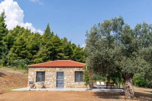 Sithonia House | The Ideal Secluded Retreat