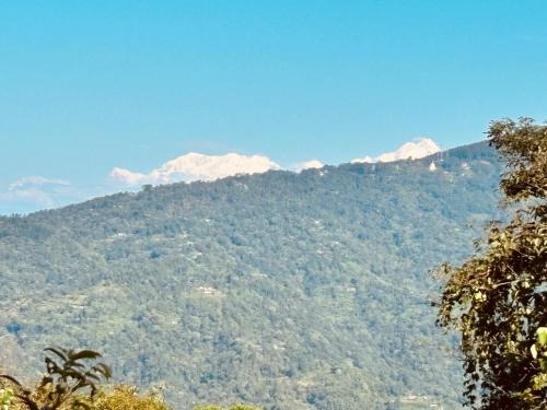 Kalimpong Other | The Jhandi Forest Camping & Huts