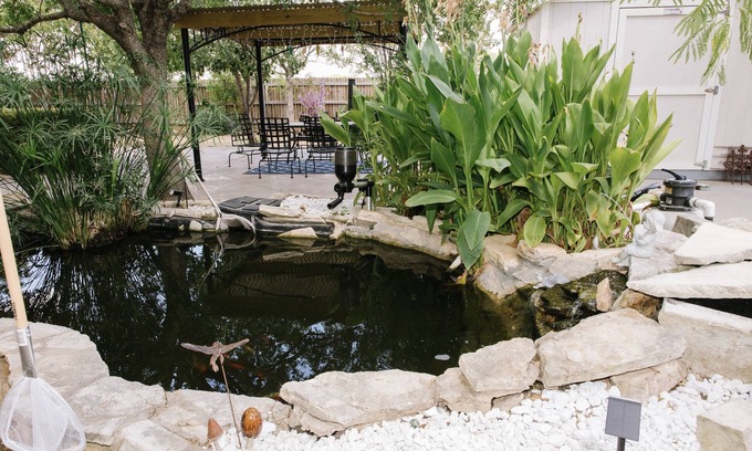 Georgetown House | The Koi House Georgetown: 35 Minutes from Downtown Austin and Airport