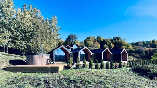 Rasnov House | The Landscape Barn Homes