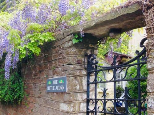 Parkend Apartment | The Little Acorn