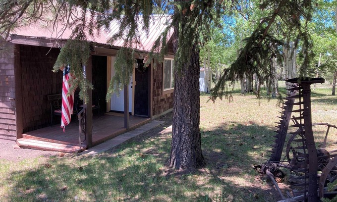 Greer Cabin | The Little Cabin at Aspenglade Greer AZ