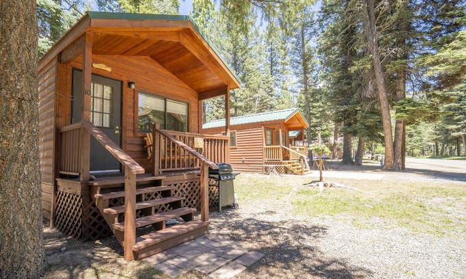Bayfield Cabin | The Lupine Cabin #10
