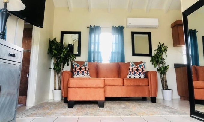 Estate La Reine Apartment | The Lux Suit Lyfe 1 Bedroom Apt with A/C