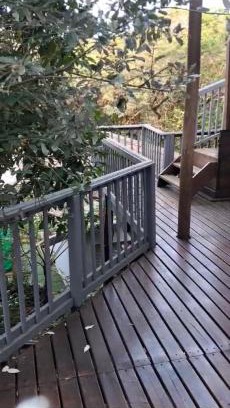 Leisure Bay Apartment | The Luxurious Cabin