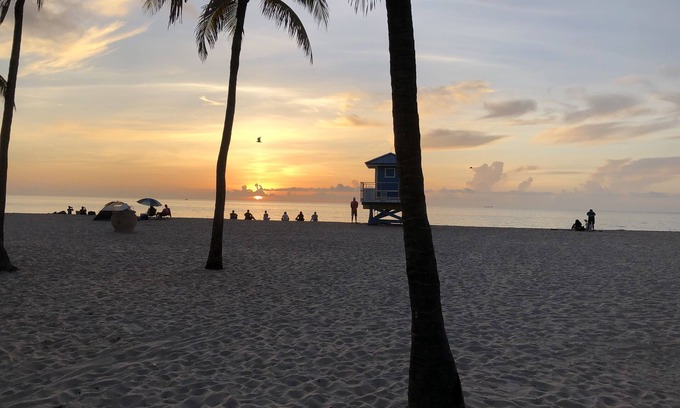 Hollywood Apartment | The Madison 8 - Beachy & Comfy 1 Bedroom Apartment Step to the Beach