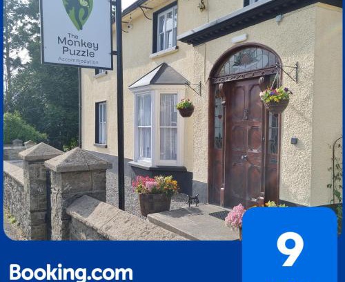 Bunclody House | The Monkey Puzzle