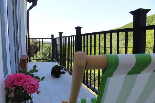 Sighnaghi Apartment | The nature