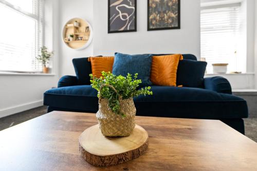South Shore House | The Nest at The Hideaway STAMP SA