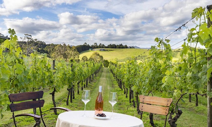 Warkworth House | The Nest - Matakana Vineyard Retreat
