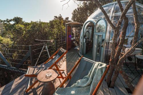 Storms River Other | The Ocean Dome - Misty Mountain Reserve