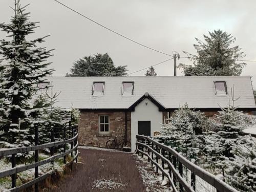 Tralee House | The Old House at Belfield