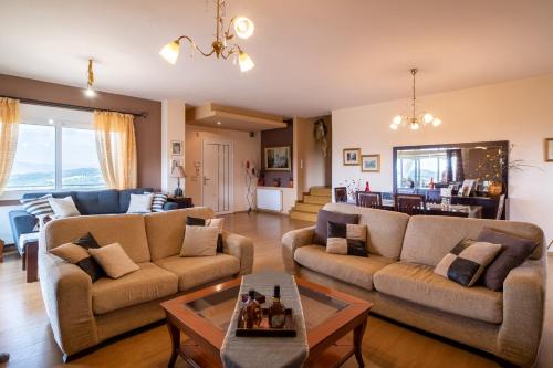 Archaia Olympia House | The Olympia Hillside Home