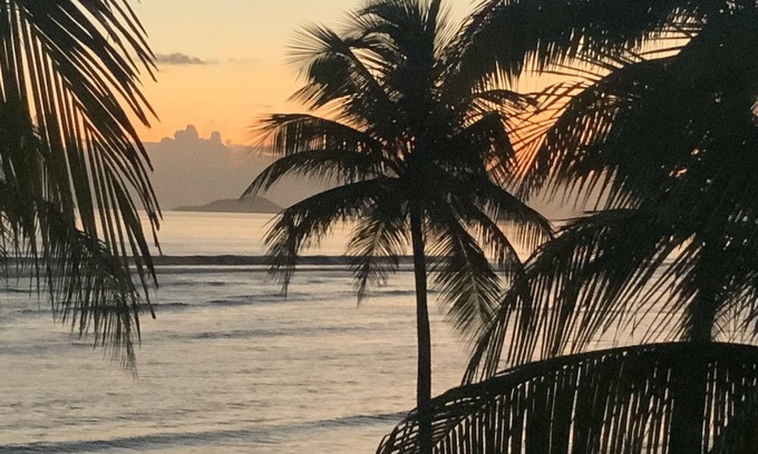 La Grande Princesse Resort | The Palms at Pelican Cove