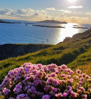 Ventry Bed & Breakfast | The Plough B&B