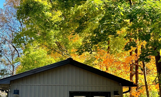 Alcona Apartment | The Refuge Guesthouse