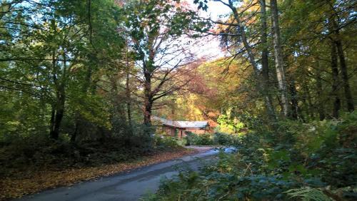 Gatehouse-of-Fleet House | The Shack, Cally Avenue, Gatehouse of Fleet, Dumfries and Galloway, DG7 2 DH