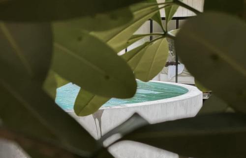 Mission Beach House | The slow monday - Modern Beach Shack