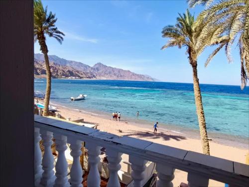 Dahab Apartment | The Spot el assalaa apartments