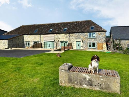Ilton House | The Spud Shed - Uk47419