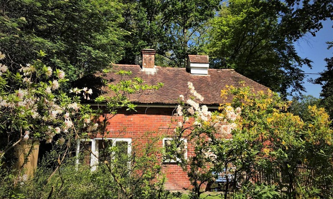 New Forest District Cottage | The Squirrels is a charming detached cottage in the New Forest National Park
