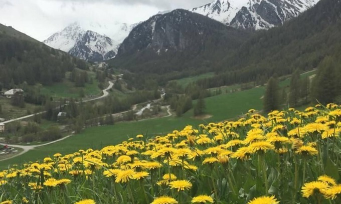 Saint-Veran Other | "The stable of Eliris" in an old traditional farm of Queyras