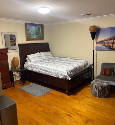 Springfield House | The Studio Den