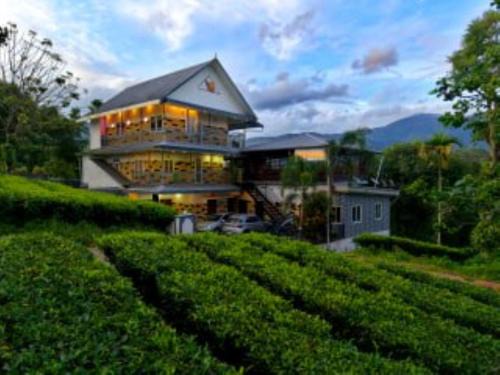 Kunchithanny Hotel | The Svarga Munnar Hill View resort