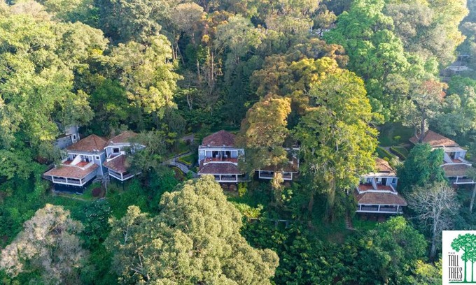 Devikolam Resort | The Tall Trees