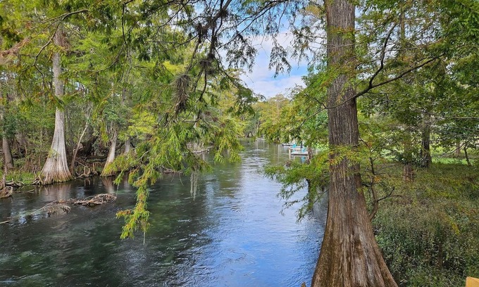 Fort White Cabin | The Tipsy Turtle located on Ichetucknee River!
