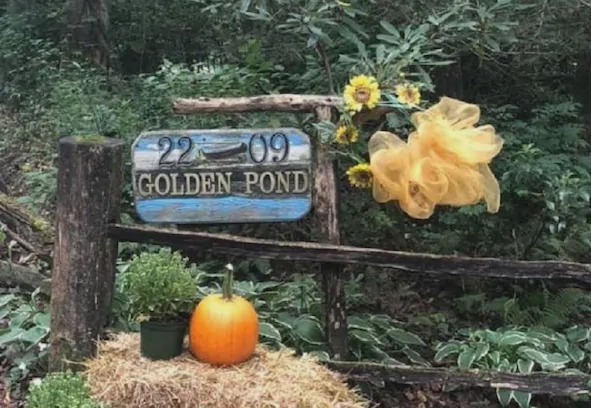 Cedar Mountain Cabin | The Treehouse at Golden Pond