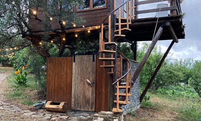 Nocera Terinese Ski Chalet | The Treehouse - Treehouse at Golden Camp
