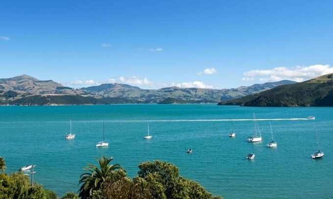 Akaroa House | The Treehut: perched in the Bush with bird song