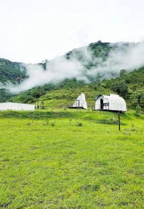Wai Other | The Tribe Panchgani