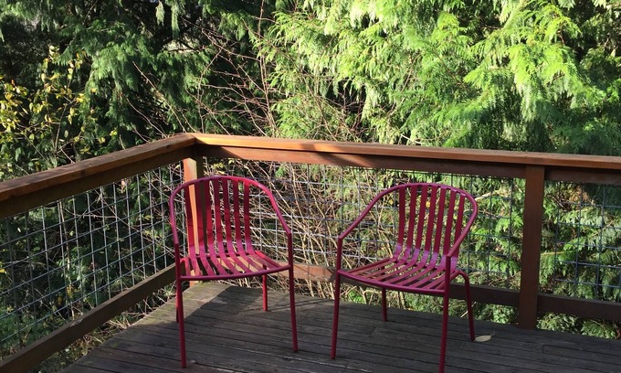 Whatcom County Apartment | The Van Zandt Raven in the Mt Baker foothills