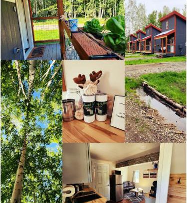 Badger House | The Wandering Wolf - Frontier Village