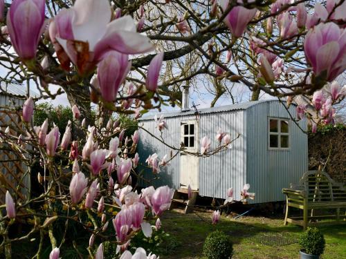 New Forest District House | The Wayside Shepherd Hut