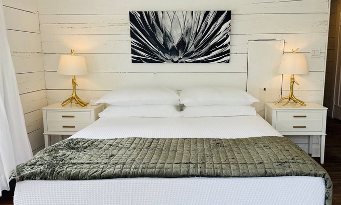 Albany House | The Western Belle