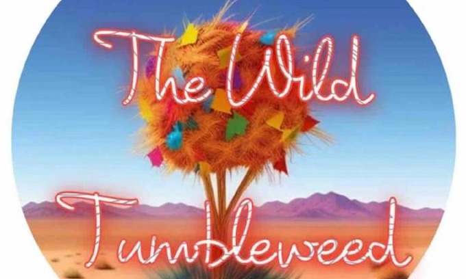Lubbock House | The WildTumbleweed-NEW & Near Parks