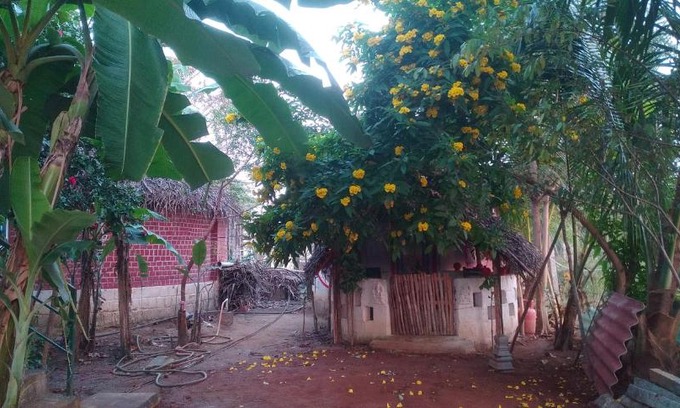 Tiruvannamalai House | Thiru Nakshatra Family Guest House