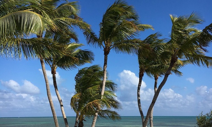 Islamorada House | This is Paradise! Beautiful 2 Acre Oceanfront Beach, A MUST SEE. 3/2 Sleeps 6